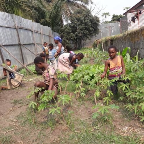 thumbnail of children working in a garden